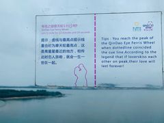 -琴岛之星摩天轮