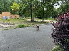 -途中饭店(开化店)