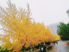 -辽宁大学(崇山校区)