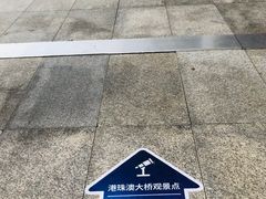 -港珠澳大桥(珠海段)