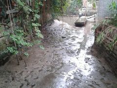 -小洲村