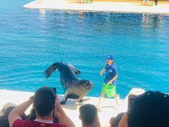 -秦皇岛乐岛海洋王国