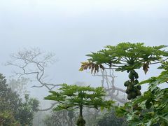 -海口火山口国家地质公园