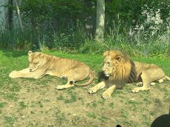 -北京野生动物园