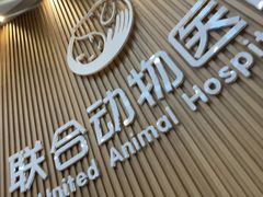 -联合动物医院(光谷诊疗中心)