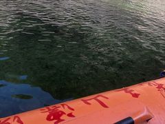 -安吉龙王山峡谷漂流