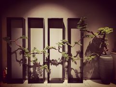 -璞·澐间影院式足道SPA(尚悦湾店)
