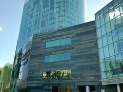 -丽思卡尔顿酒店泳池(金融街店)