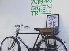 -大青树咖啡(大理古城店)