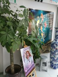 -天津健丽·去眼袋医疗美容机构