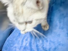 -宠颐生宠物医院·综合诊疗(先锋分院)