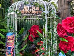 -灵玲国际马戏城
