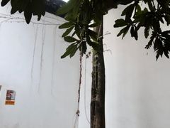-南京市民俗博物馆(甘熙宅第)