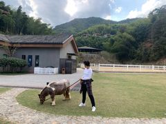 -宁海安岚·南溪阁全日餐厅