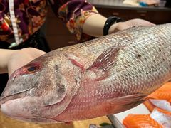 -水之惠鲜鱼料理(王府大街店)