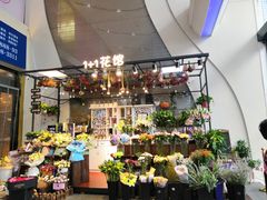 -万达广场(南宁青秀店)