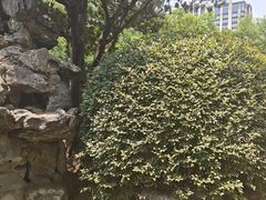 -上海昆虫博物馆