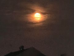 -星巴克(北京新东安)