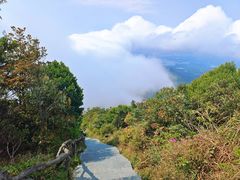 -梧桐山风景名胜区