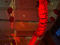 -云·酷Atmosphere(国贸大酒店)