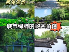 -西溪国家湿地公园