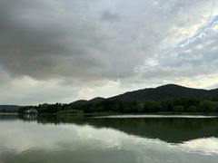 -长广溪湿地公园