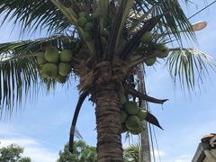 -無招牌海鮮(芽笼店)