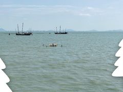 -贡湖湾湿地公园