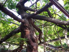 -红螺寺