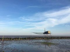 -南汇嘴观海公园