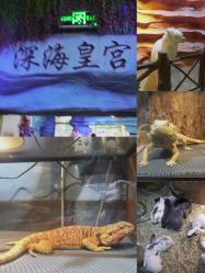 -酷嗒动物文化乐园(cutezoo西溪乐天城店)