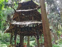-青城山