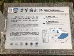 -黄龙山原始森林景区