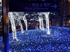 -上海环球金融中心云端足球盛典
