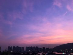 -海天花园酒家