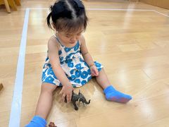 -蒙蒙狮蒙台梭利儿童之家