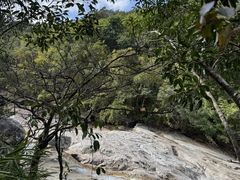 -霸王岭国家森林公园