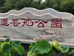-莲花池公园
