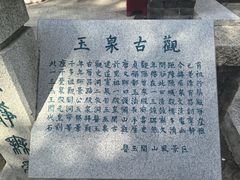 -老庞家水馅包子馆