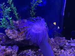 -沙沙哗啦海洋馆(华宇百花谷店)