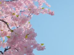 -首开·龙湖成都西宸天街