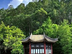 -顺峰山公园