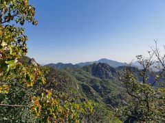 -大岭沟猕猴桃谷风景区
