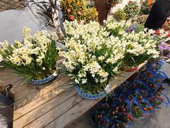 -双季花艺园艺市场(浦东店)