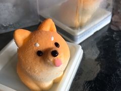 -柴犬高等学院·狗咖·柴犬售卖·宠物训练