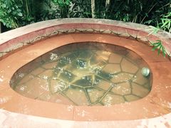 -南宫温泉水世界