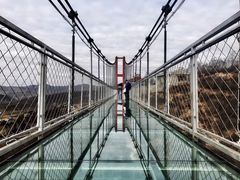 -铜川市金锁关石林