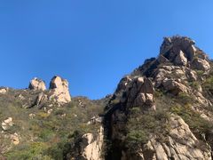 -大岭沟猕猴桃谷风景区