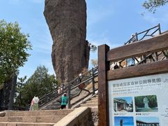 -磬锤峰森林公园