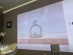 -VE DIAMOND·天然&培育钻石定制